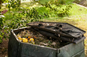 Compost bin in spring