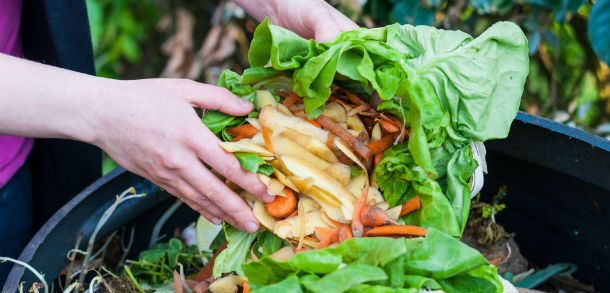 Person adding food waste to compost bin