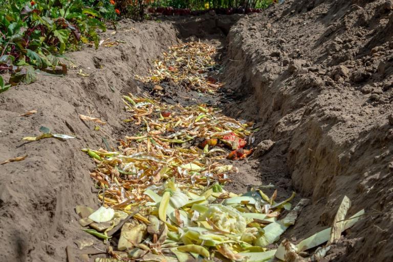 Trench dug in garden filled with vegetable scraps.