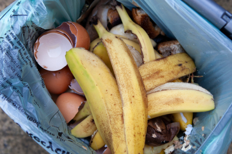 Overhead view of food caddy with banana peel on top.