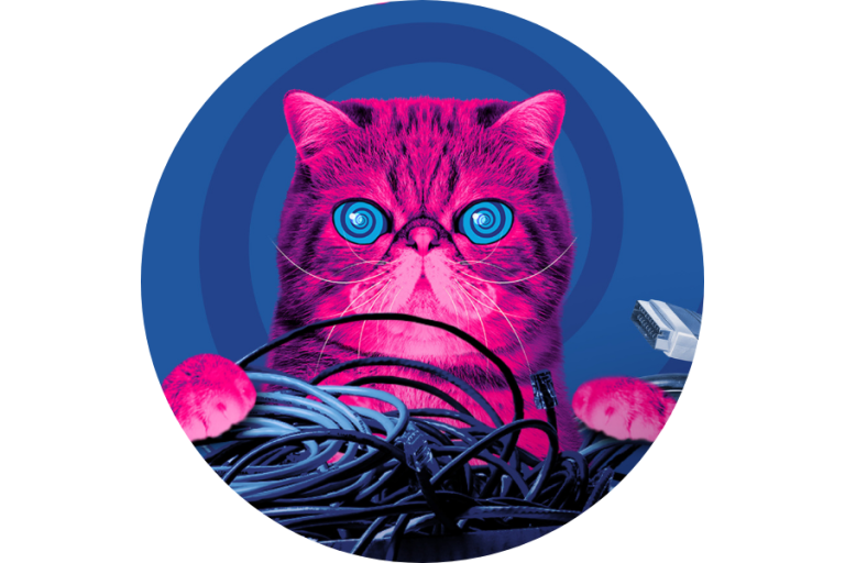 Pink cat holding a pile of electrical cables.